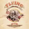 Flying Orkestar - Préparation H - Extrait de l'album Made In Bukravia - Single